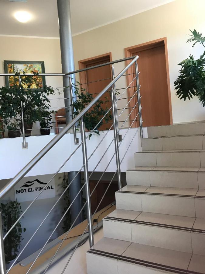 Motel Pintal Gorzów Wielkopolski Eksteriør bilde